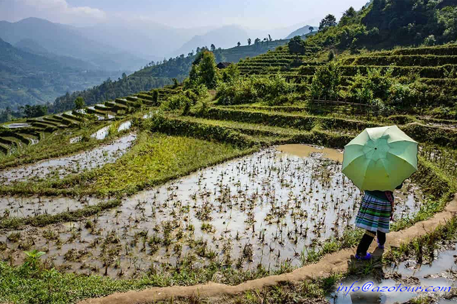 When is the best time to visit Sapa